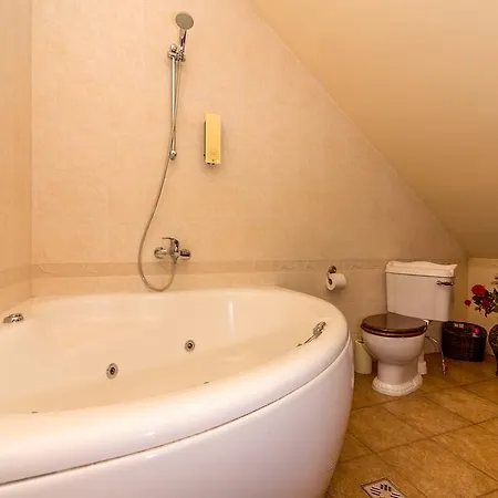 Manor Birgitta Külalistemaja 3*